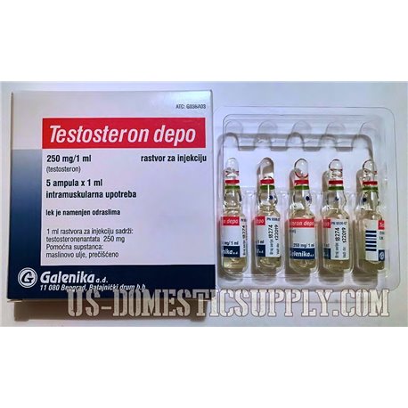 Testosterone Depo (Testosterone Enanthate) 250mg/ml 10amps, ICN Galenika