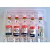 Testosterone Depo (Testosterone Enanthate) 250mg/ml 10amps, ICN Galenika