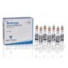 Testocyp (Testosterone Cypionate) 250mg/1ml 10amps, Alpha Pharma